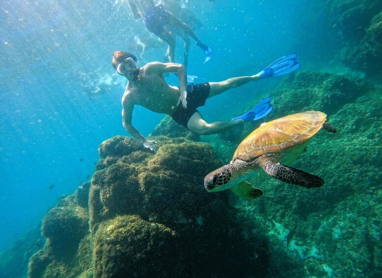 Picture 1 for Activity Snorkeling with turtles in Fujairah with BBQ lunch