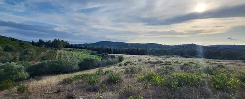 Into the world of Sardinian wild herbs