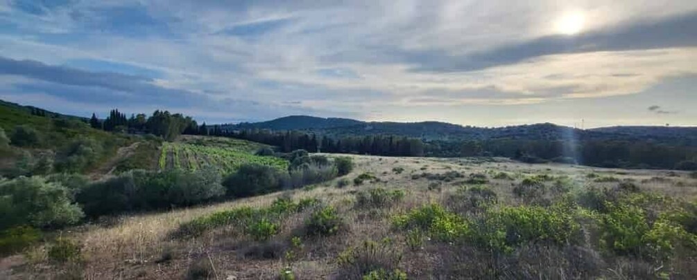 Into the world of Sardinian wild herbs