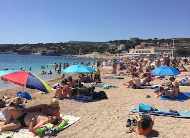 ทัวร์ไวน์ Cassis, Bandol, Le Castellet: หน้าผาและไร่องุ่น