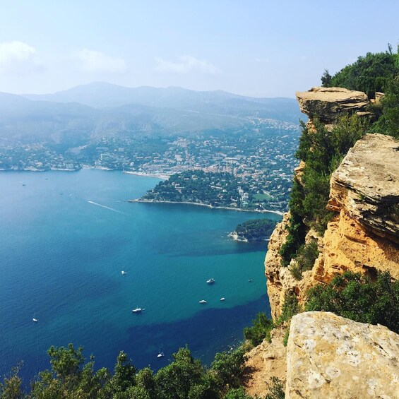 Picture 3 for Activity Cassis wine tour: sea, cliffs and vineyards