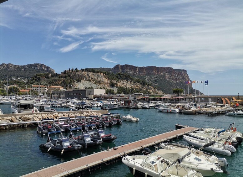 Picture 12 for Activity Cassis wine tour: sea, cliffs and vineyards