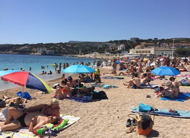 Vin de Cassis excursion : mer, falaises et vignobles