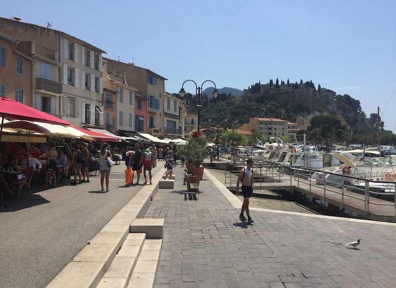 Picture 1 for Activity Cassis wine tour: sea, cliffs and vineyards