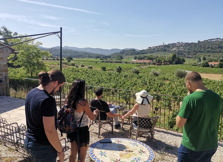 Picture 8 for Activity Cassis wine tour: sea, cliffs and vineyards