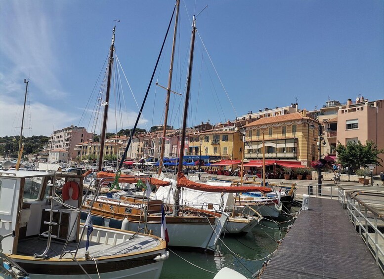 Picture 9 for Activity Cassis wine tour: sea, cliffs and vineyards