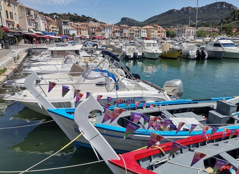 Picture 11 for Activity Cassis wine tour: sea, cliffs and vineyards