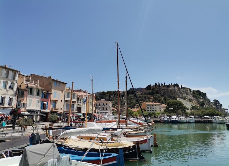 Picture 10 for Activity Cassis wine tour: sea, cliffs and vineyards