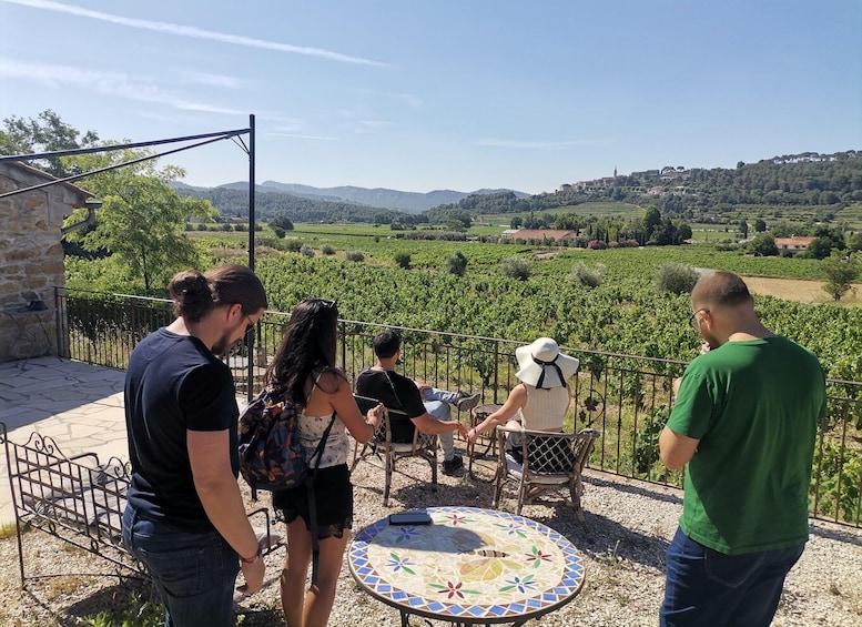 Picture 8 for Activity Cassis wine tour: sea, cliffs and vineyards