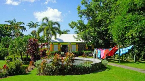 St. Kitts: Basseterre, Royal Highlight Tour