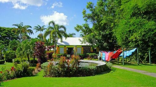 St. Kitts: Basseterre, Royal Highlight Tour