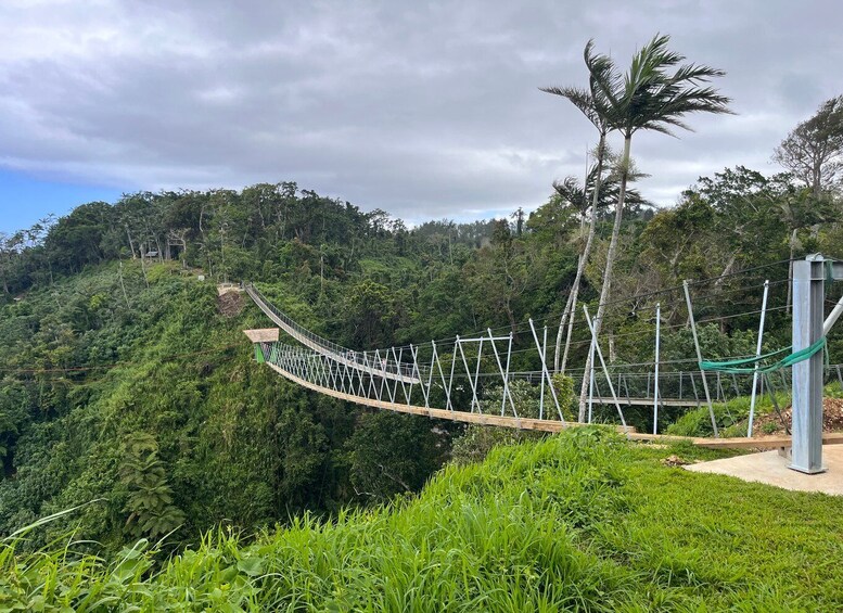 Picture 4 for Activity Vanuatu Jungle Canyon Swing