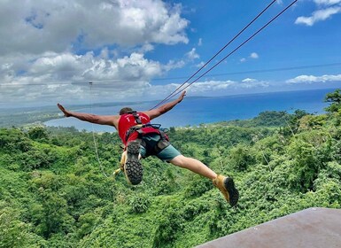 Vanuatu Jungle Canyon Swing