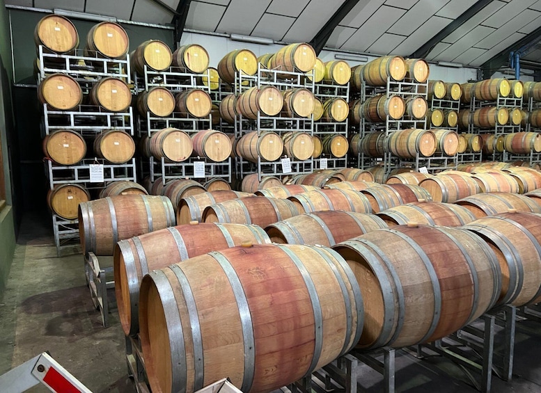 Picture 3 for Activity Constantia Half day Wine Tasting tour