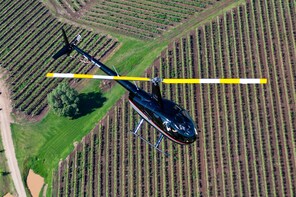 Wine Country Highlights