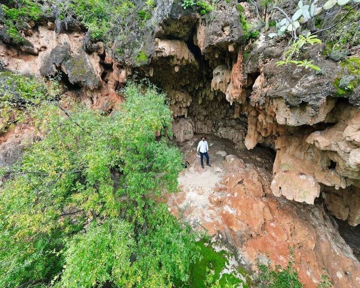 Picture 3 for Activity Steer route: Tour of the ruins and tasting in Mazatan