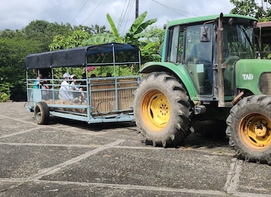 Regenerative Farm Day Trip 1 hr from Panama City in Chepo