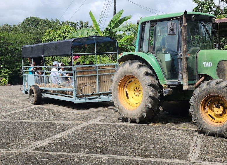 Regenerative Farm Day Trip 1 hr from Panama City in Chepo