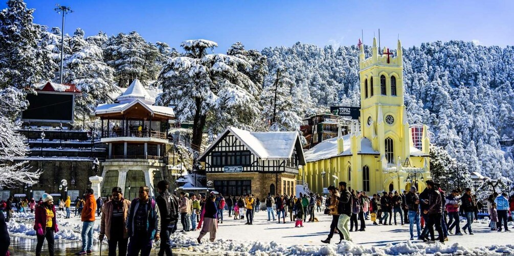 Picture 3 for Activity From Delhi: 3 Days Delhi to Shimla Tour