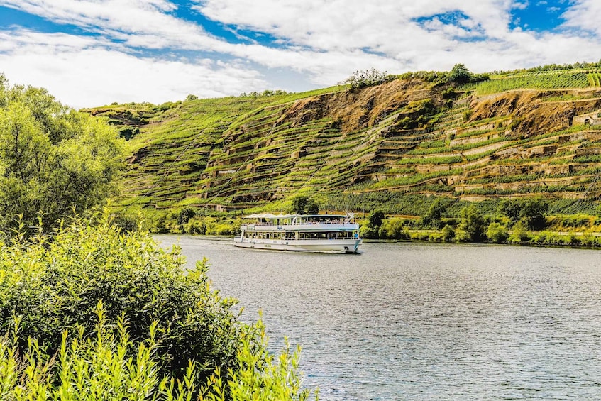 Koblenz: Panoramic Cruise on Moselle River to Winningen