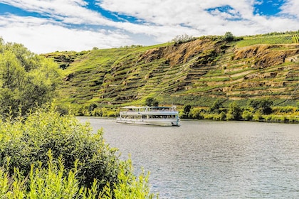 Koblenz: Panoramic Cruise on Moselle River to Winningen