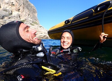 Sesimbra: Arrábida Marine Reserve Scuba Diving Experience