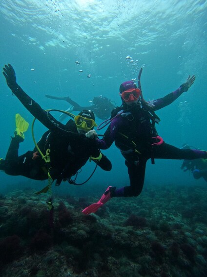 Picture 8 for Activity Sesimbra: Arrábida Marine Reserve Scuba Diving Experience