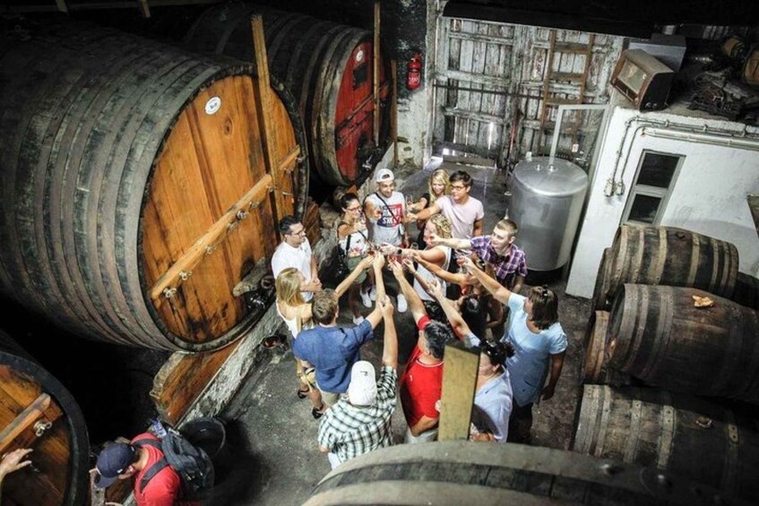 Picture 7 for Activity Douro: Premium Wine Tasting and Tapas Tour