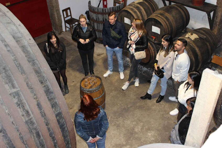 Picture 16 for Activity Douro: Premium Wine Tasting and Tapas Tour