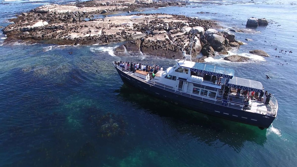 Picture 2 for Activity From Cape Town: Glass-Bottom Boat Seal Watching Tour