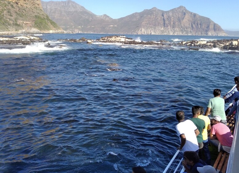 Picture 4 for Activity From Cape Town: Glass-Bottom Boat Seal Watching Tour