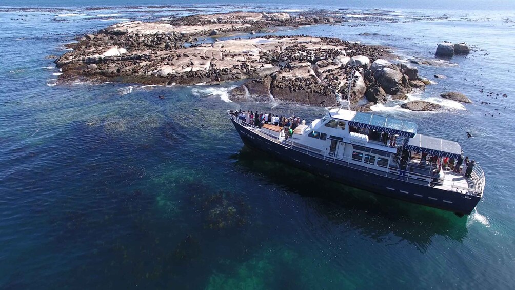 Picture 2 for Activity From Cape Town: Glass-Bottom Boat Seal Watching Tour