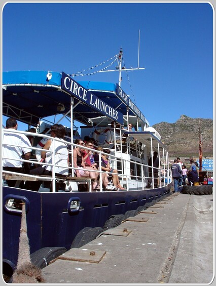 Picture 7 for Activity From Cape Town: Glass-Bottom Boat Seal Watching Tour