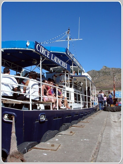 Picture 7 for Activity From Cape Town: Glass-Bottom Boat Seal Watching Tour