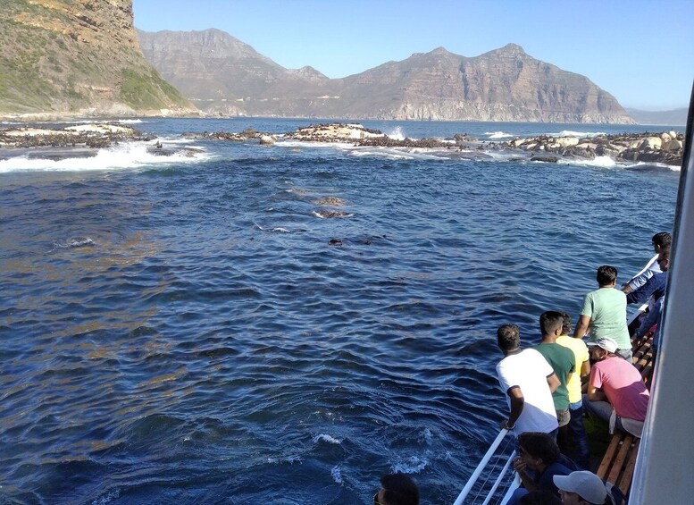 Picture 4 for Activity From Cape Town: Glass-Bottom Boat Seal Watching Tour