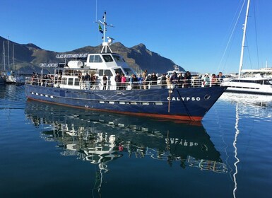 From Cape Town: Glass-Bottom Boat Seal Watching Tour