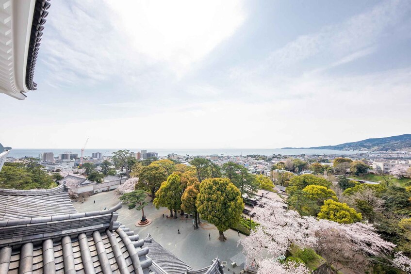 Picture 6 for Activity Odawara: Guided Ninja & Samurai Tour of Odawara Castle