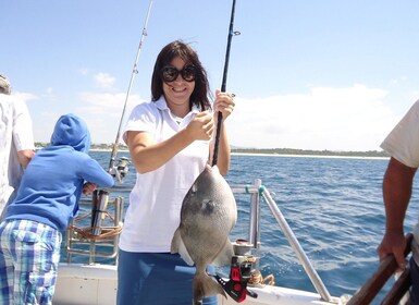 Quarteira: viaje en barco de pesca en el arrecife del Algarve con equipo