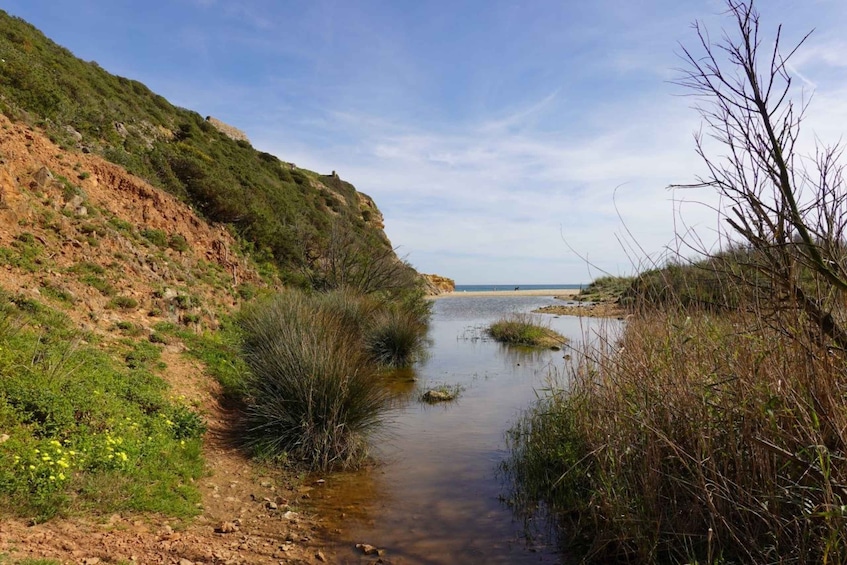 Picture 12 for Activity Algarve: Guided WALK in the Natural Park | South Coast