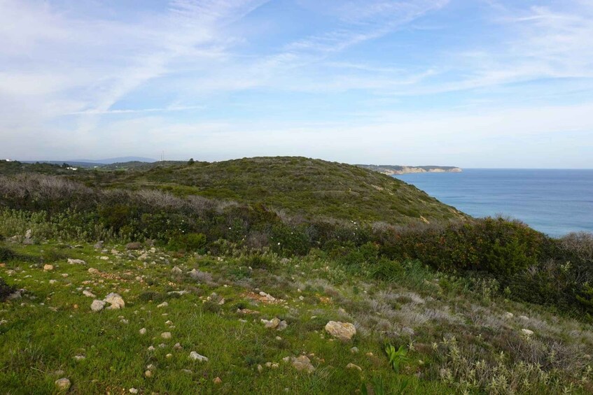 Picture 3 for Activity Algarve: Guided WALK in the Natural Park | South Coast