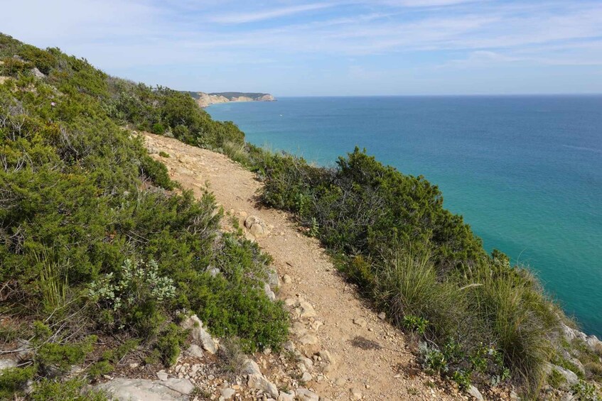 Picture 5 for Activity Algarve: Guided WALK in the Natural Park | South Coast