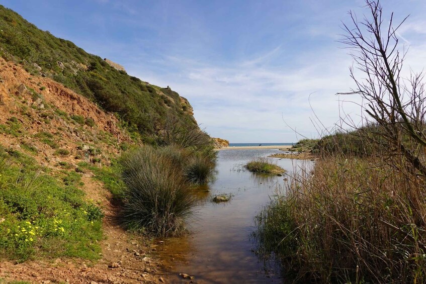 Picture 12 for Activity Algarve: Guided WALK in the Natural Park | South Coast