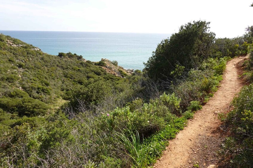 Picture 9 for Activity Algarve: Guided WALK in the Natural Park | South Coast