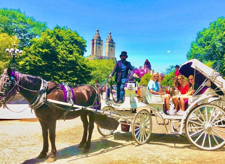 Picture 4 for Activity New York City: Central Park Private Horse and Carriage Tour