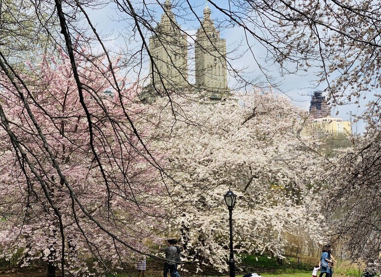 Picture 3 for Activity New York City: Central Park Private Horse and Carriage Tour