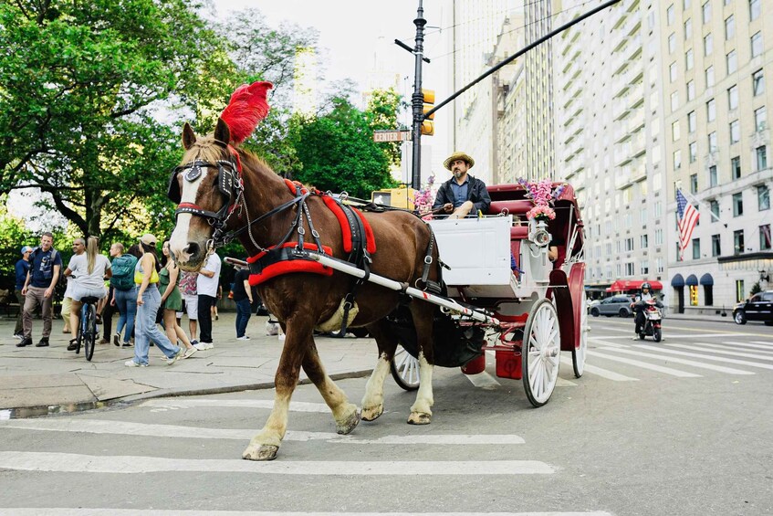 New York City: Central Park Private Horse and Carriage Tour