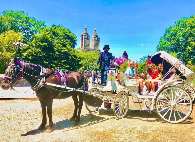 Picture 4 for Activity New York City: Central Park Private Horse and Carriage Tour