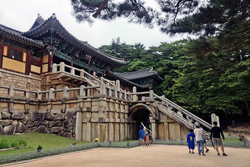 Picture 1 for Activity Gyeongju: UNESCO Heritage Tour Including Bulguksa Temple