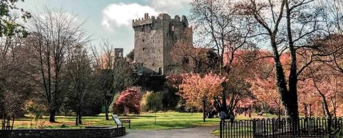 From Cork: County Cork Highlights Tour with Entrance Tickets