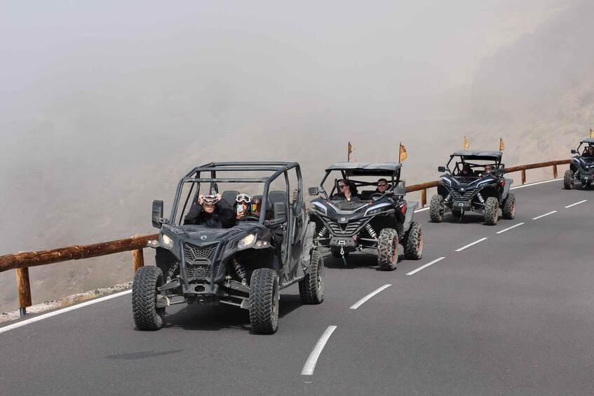 Picture 7 for Activity Tenerife: Teide Nacional Park Guided Morning Buggy Tour